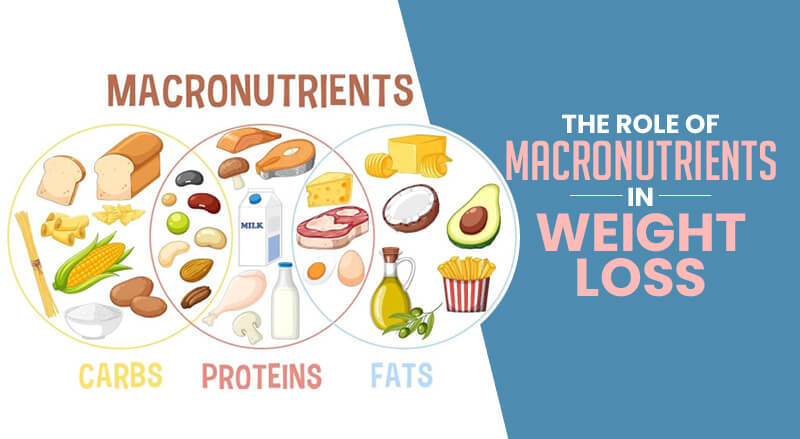 The Role of Macronutrients in Weight Loss